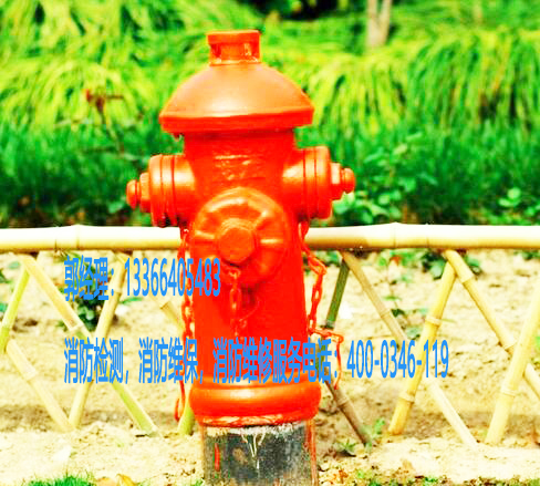 小蝌蚪在线看免费视频黄地埋式消火栓检测