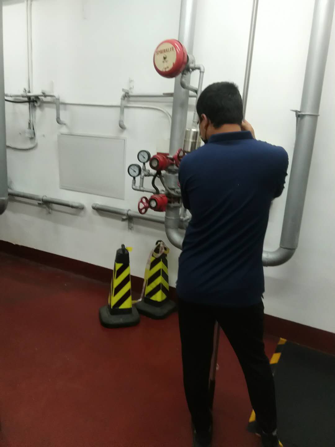 顺义小蝌蚪在线看免费视频黄维保