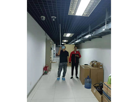 车间小蝌蚪在线看免费视频黄检测